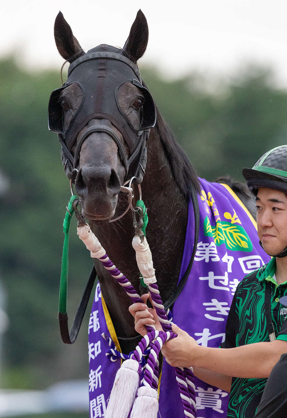 せきれい賞を制したゴールドギア（写真提供・岩手県競馬組合）