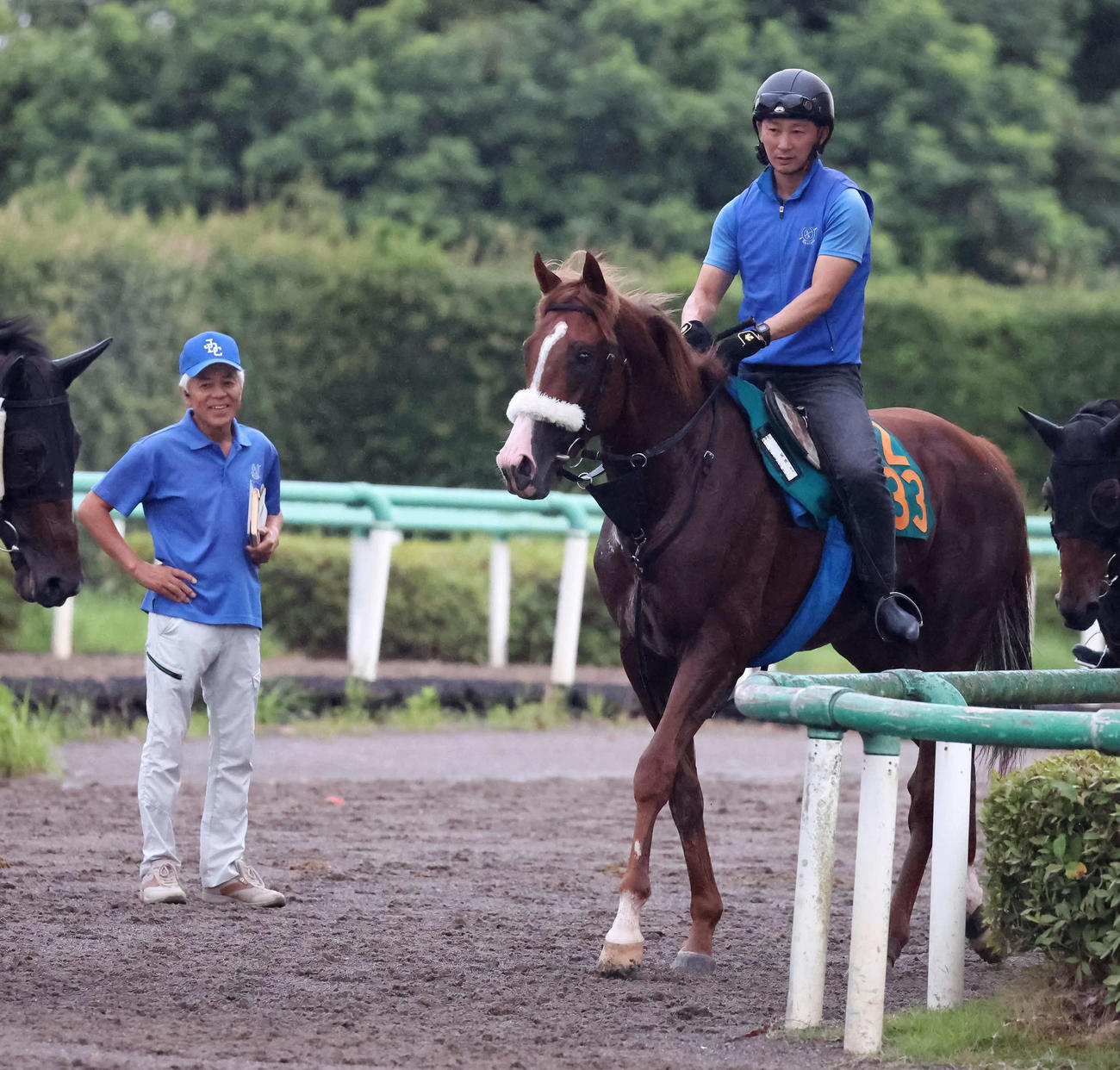 調教を終えて馬場を出たプロメサアルムンドと笑顔で見つめる国枝師