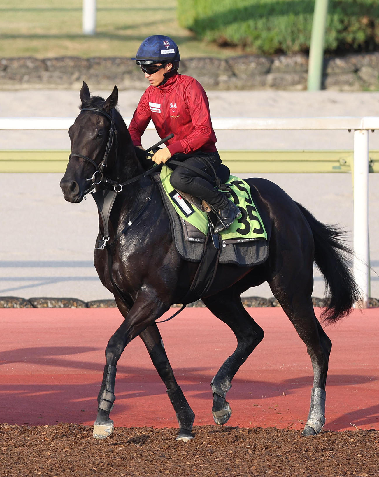 23日、川田騎手を背に馬場入りするコニーアイランド