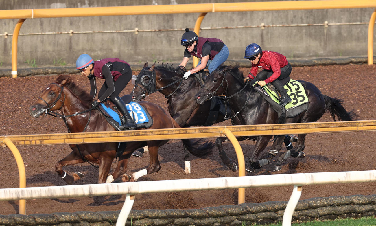 23日、川田騎手を背にCウッドを3頭併せで追い切るコニーアイランド（右）