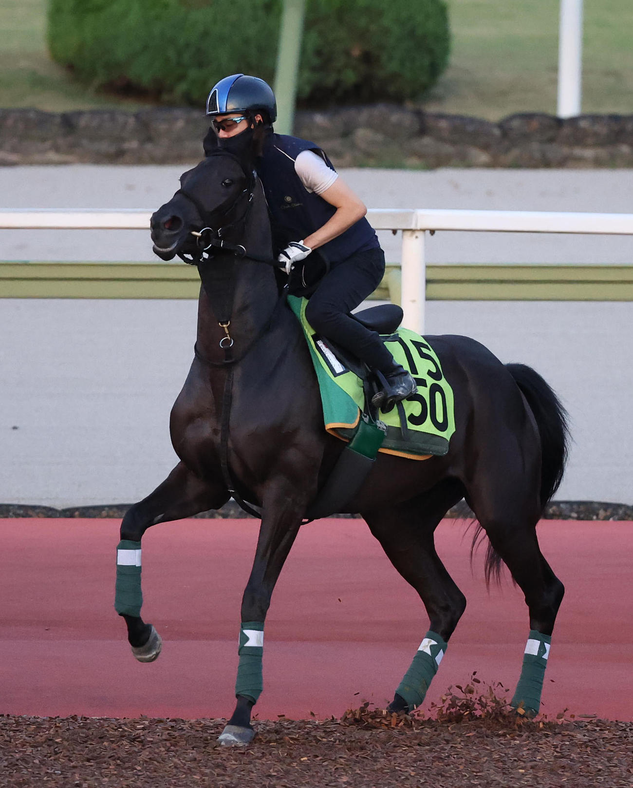 23日、松山騎手を背に馬場入りするウィズクィーン