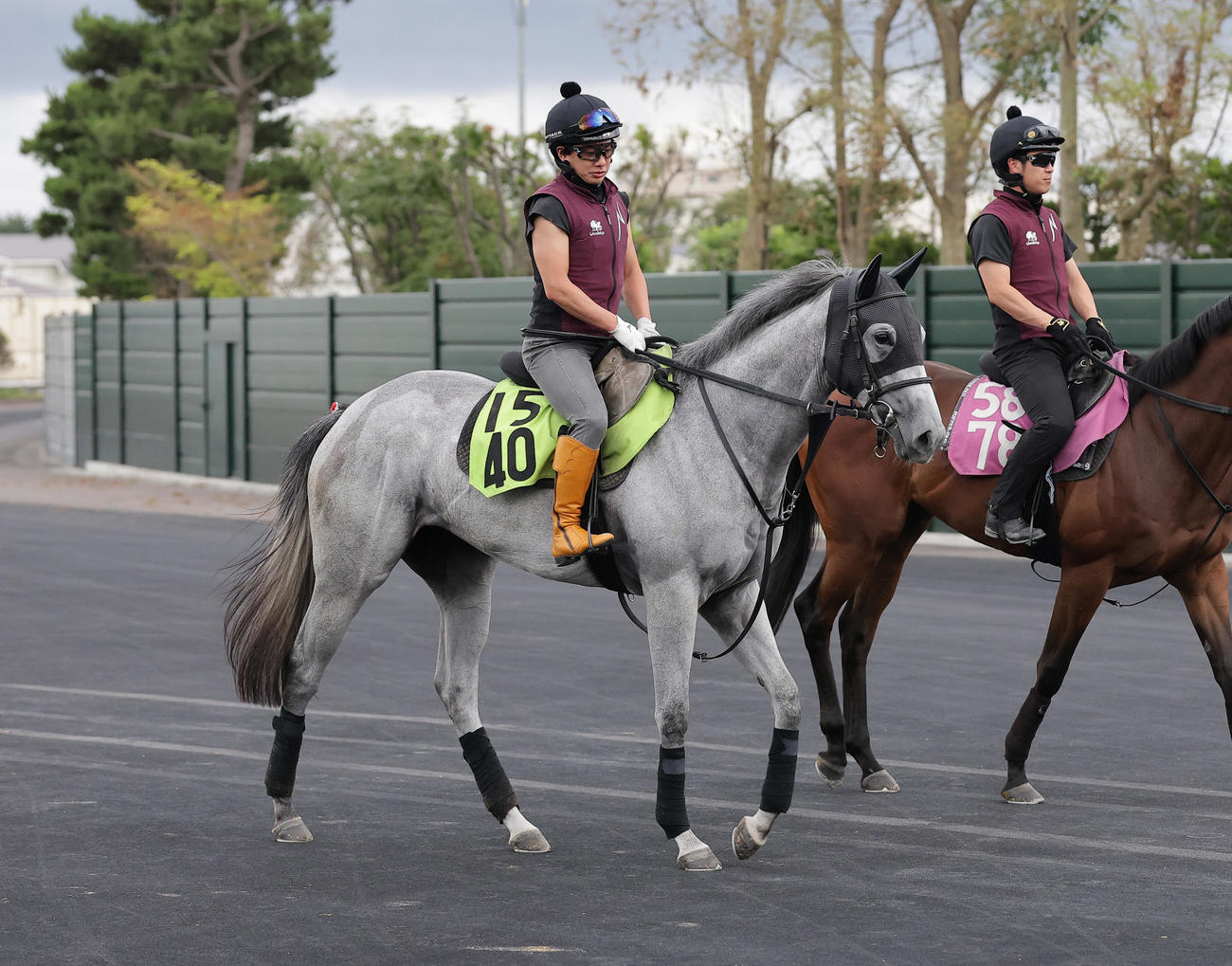 函館競馬場で調整するストロベリーツリー