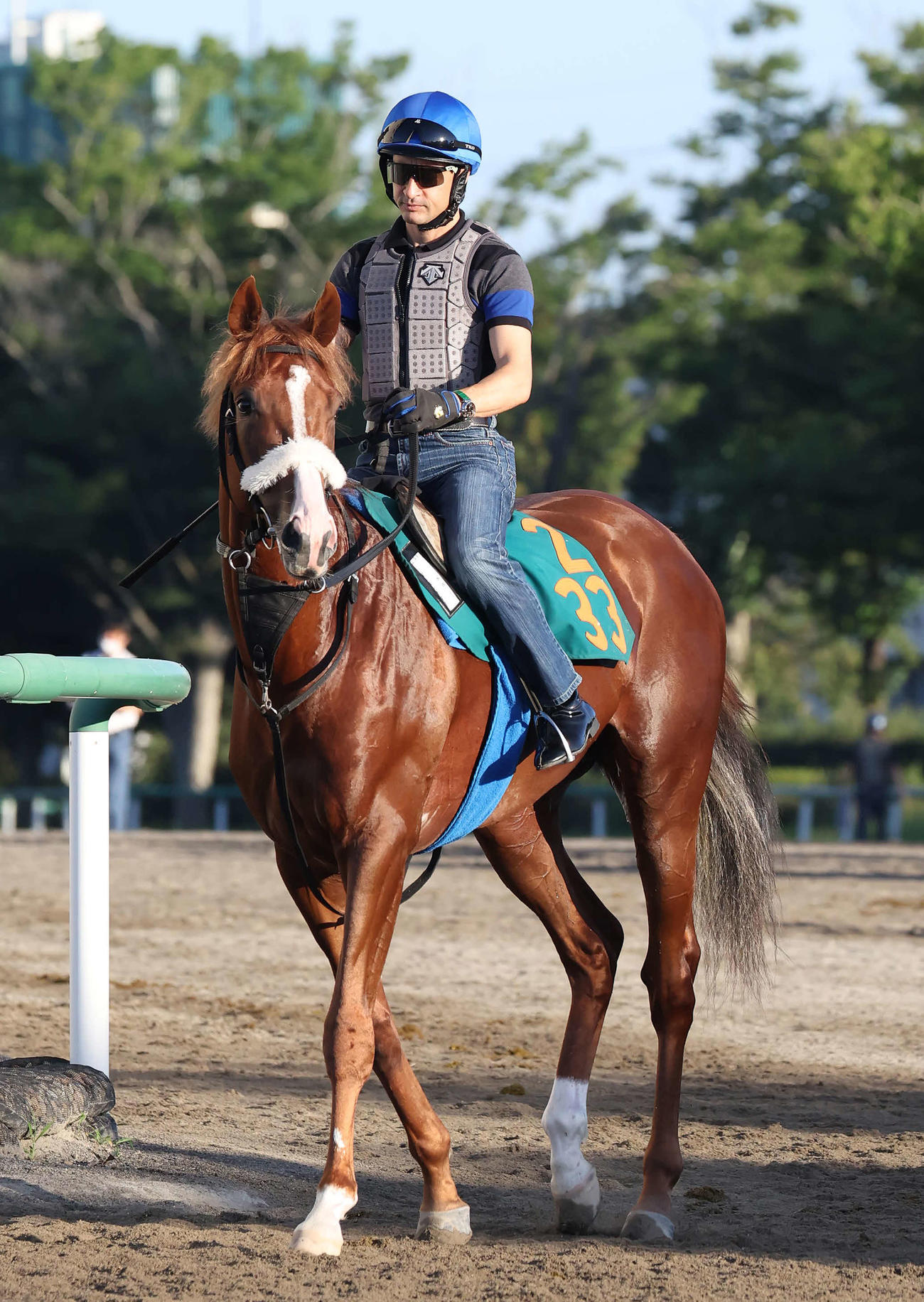 馬場へ向かうプロメサアルムンドとルメール騎手（撮影・丹羽敏通）