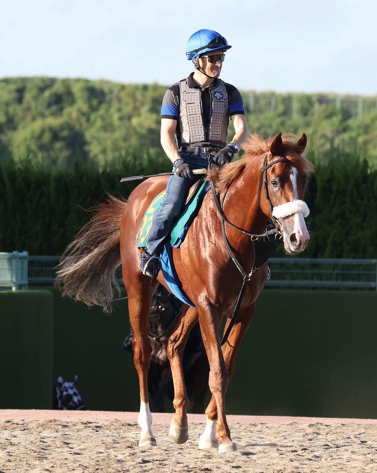 追い切りを終えて馬場を出るプロメサアルムンドとルメール騎手（撮影・丹羽敏通）
