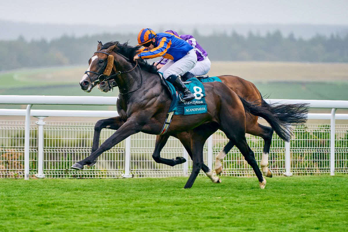 29日のグッドウッドCを制したスカンジナビア（手前）とイリノイ（（C）Goodwood Racecourse）