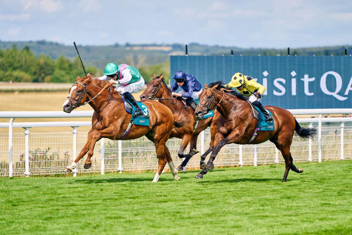 サセックスSを制したキラート（C）Goodwood Racecourse