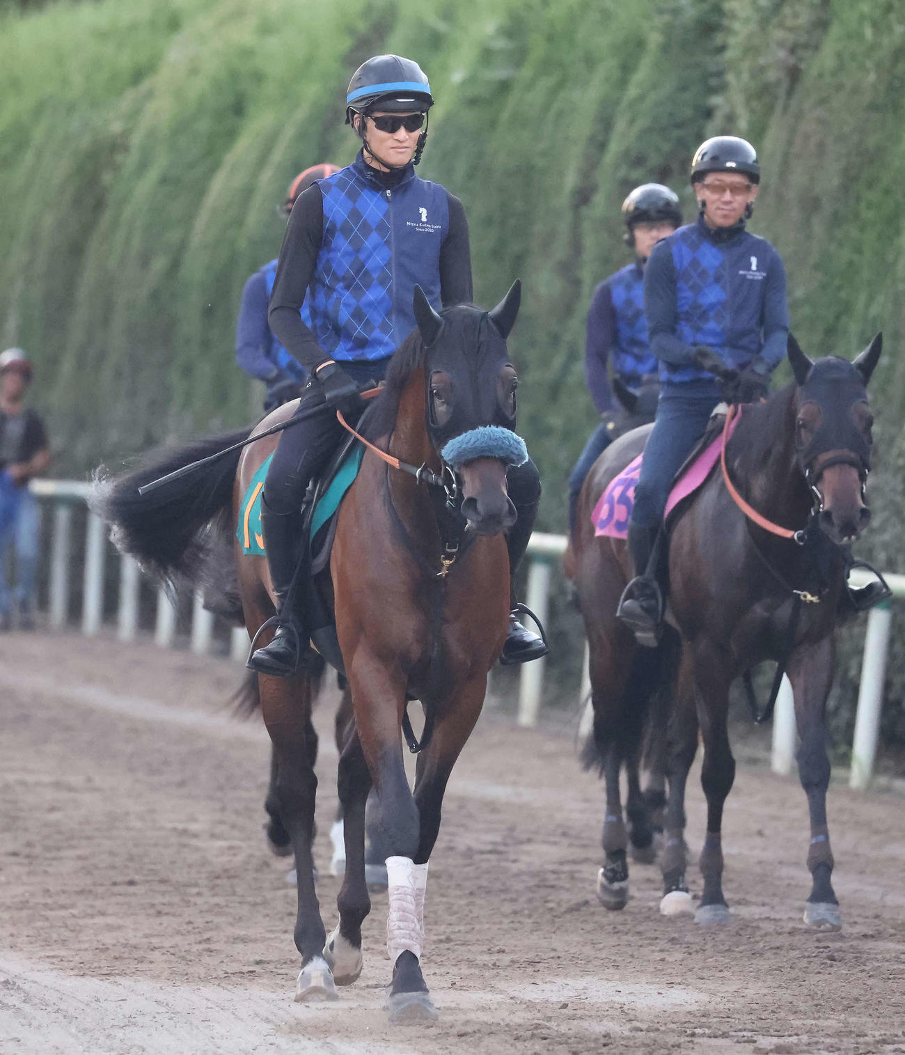 乗り運動で調整するイナズマダイモン（左）（撮影・丹羽敏通）