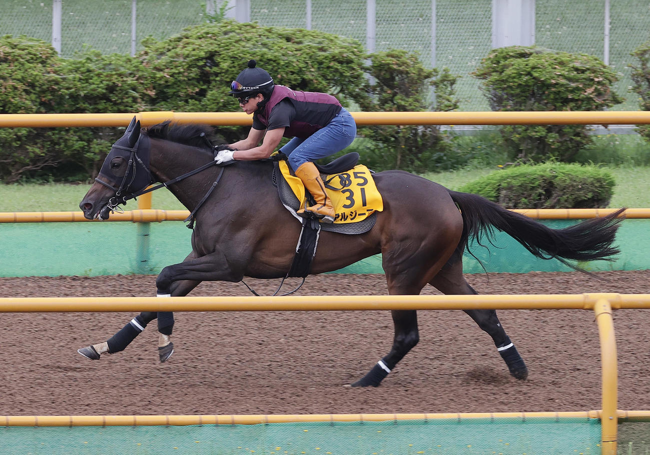 函館ウッドチップコースで追い切られるアルジーヌ