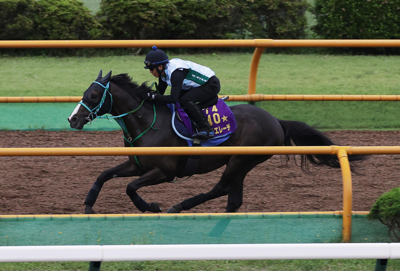 函館ウッドチップコースで追い切られるドゥラエレーデ