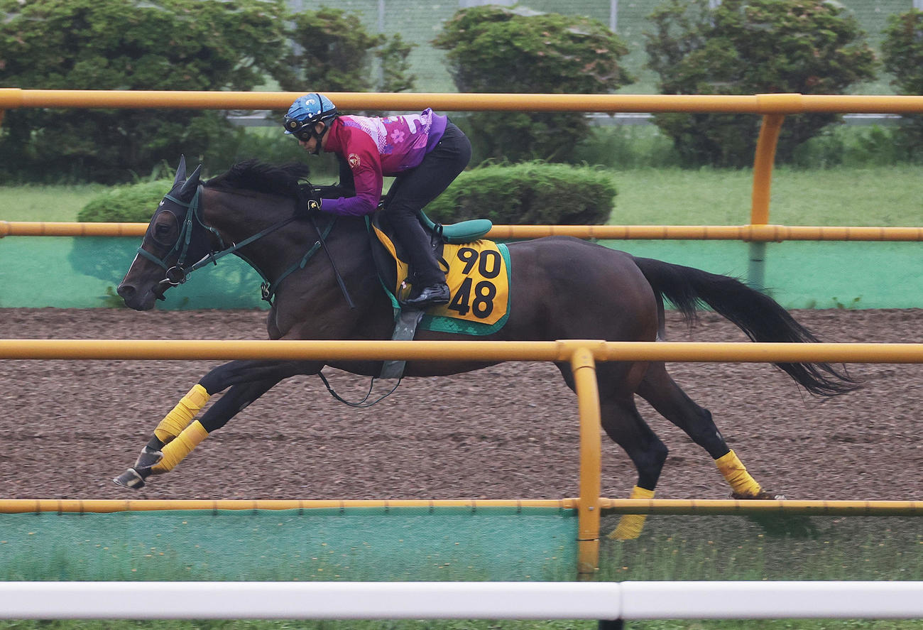 菱田騎手を背に、函館ウッドで追い切られるビヨンドザヴァレー