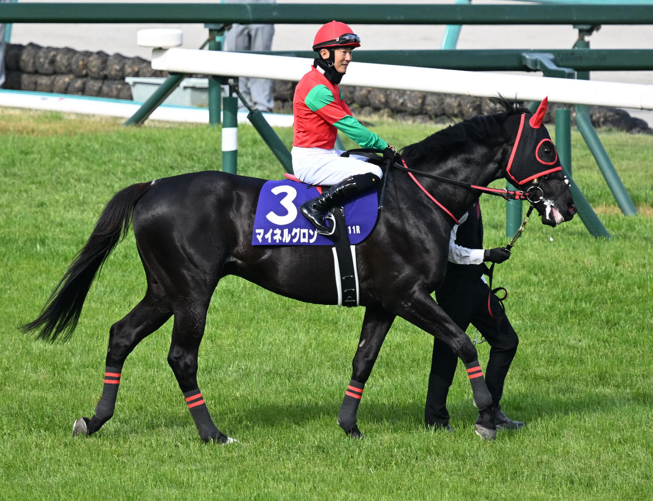 25年4月、中山グランドJに出走したマイネルグロン