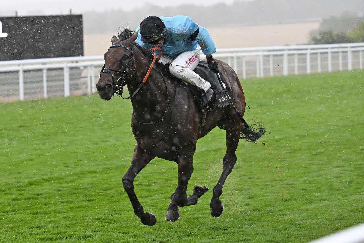 ゴードンSを制したマーチャント（C）Goodwood Racecourse