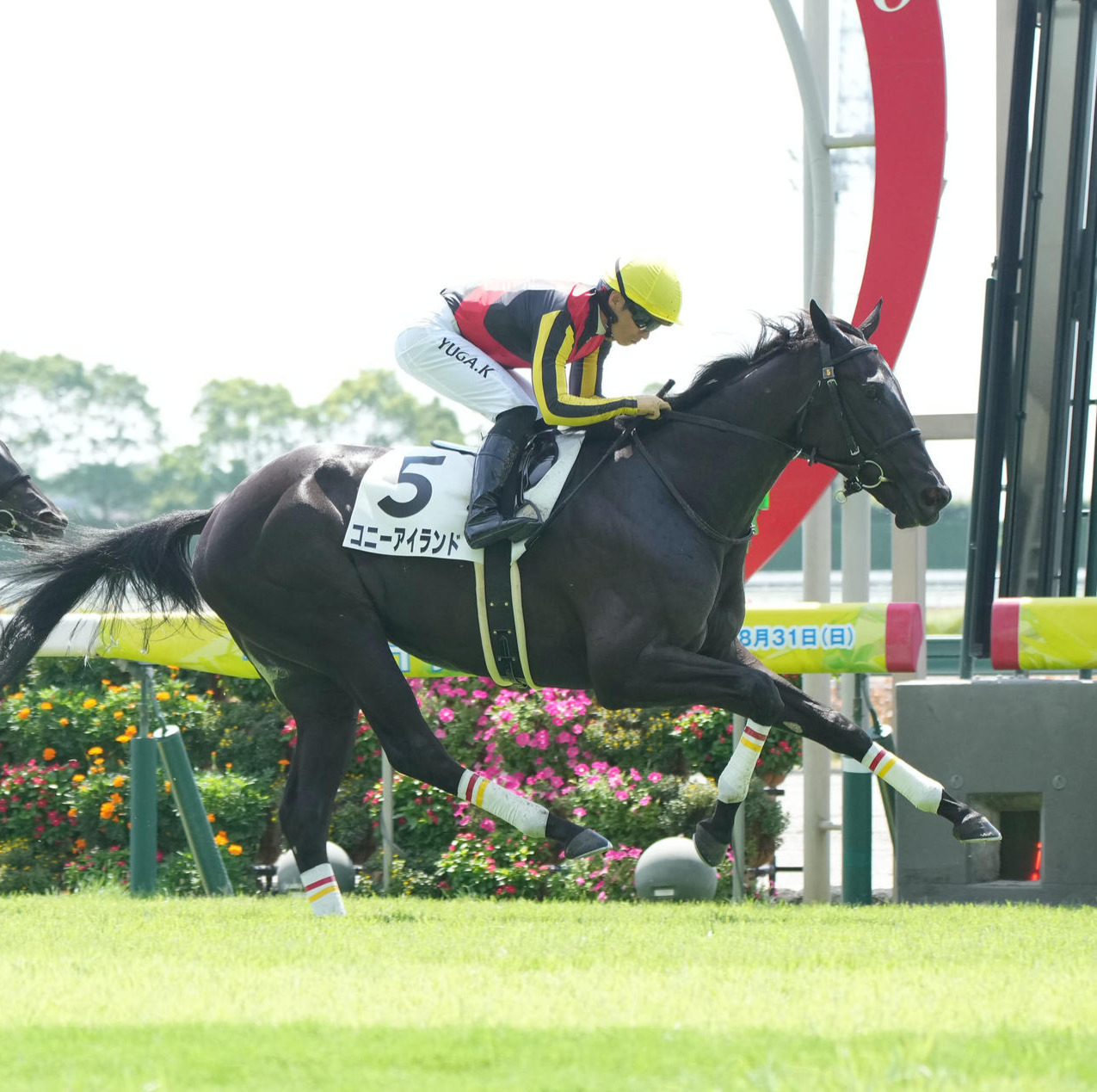 中京2R、2歳新馬戦を制したコニーアイランド（撮影・森本幸一）