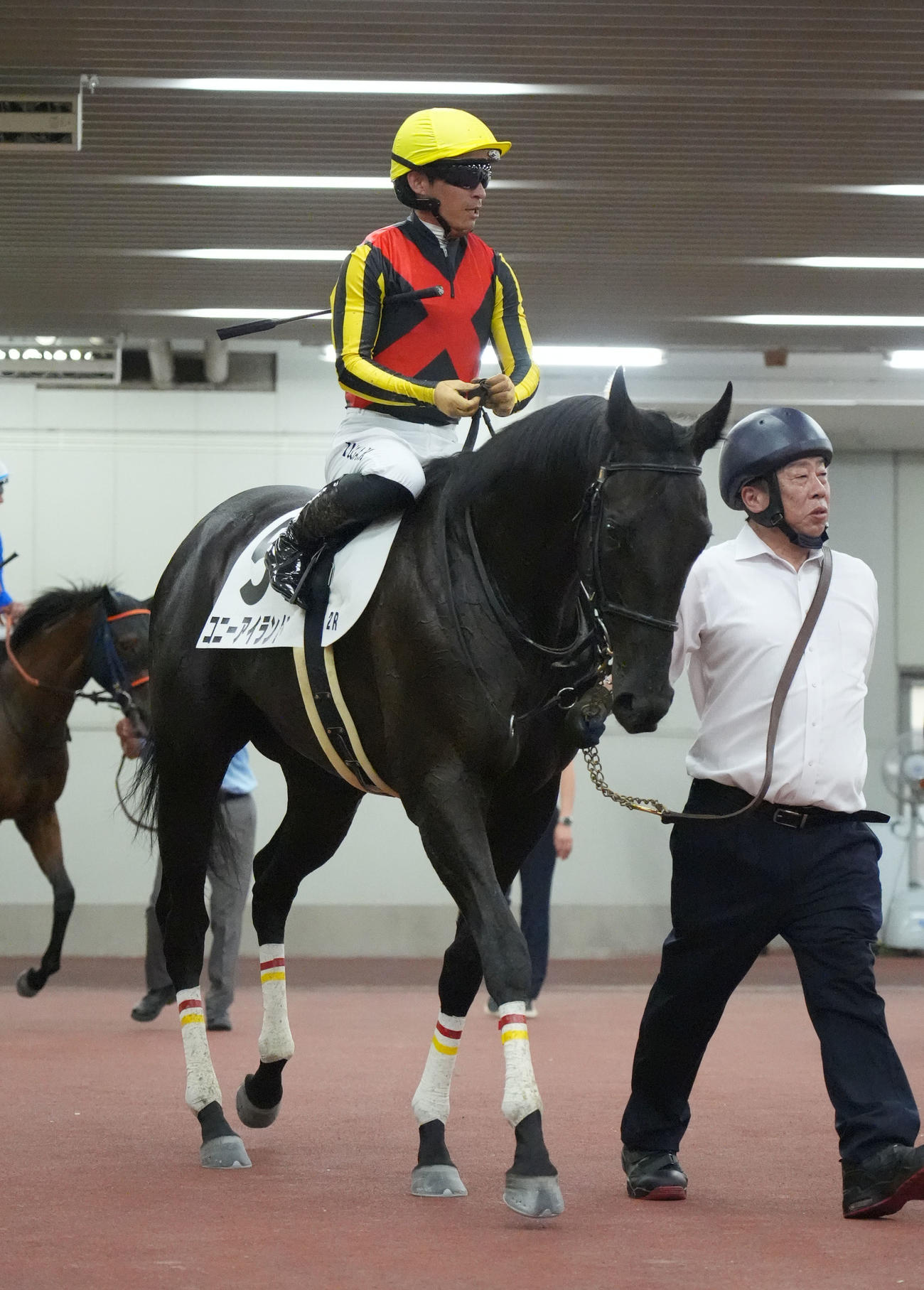中京2R、2歳新馬戦を制したコニーアイランド（撮影・森本幸一）