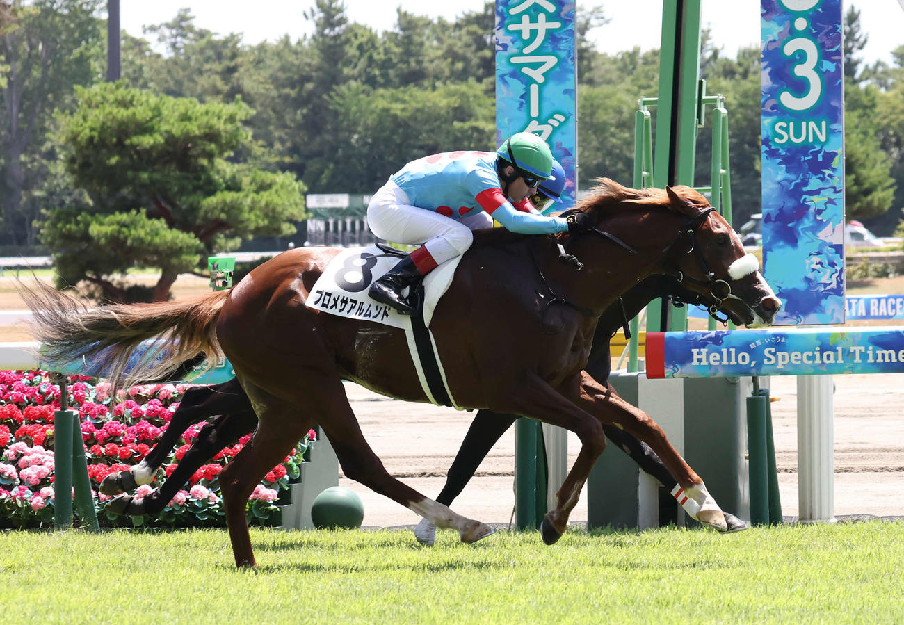 新潟4R、2歳新馬戦を制したプロメサアルムンドとルメール騎手（撮影・丹羽敏通）