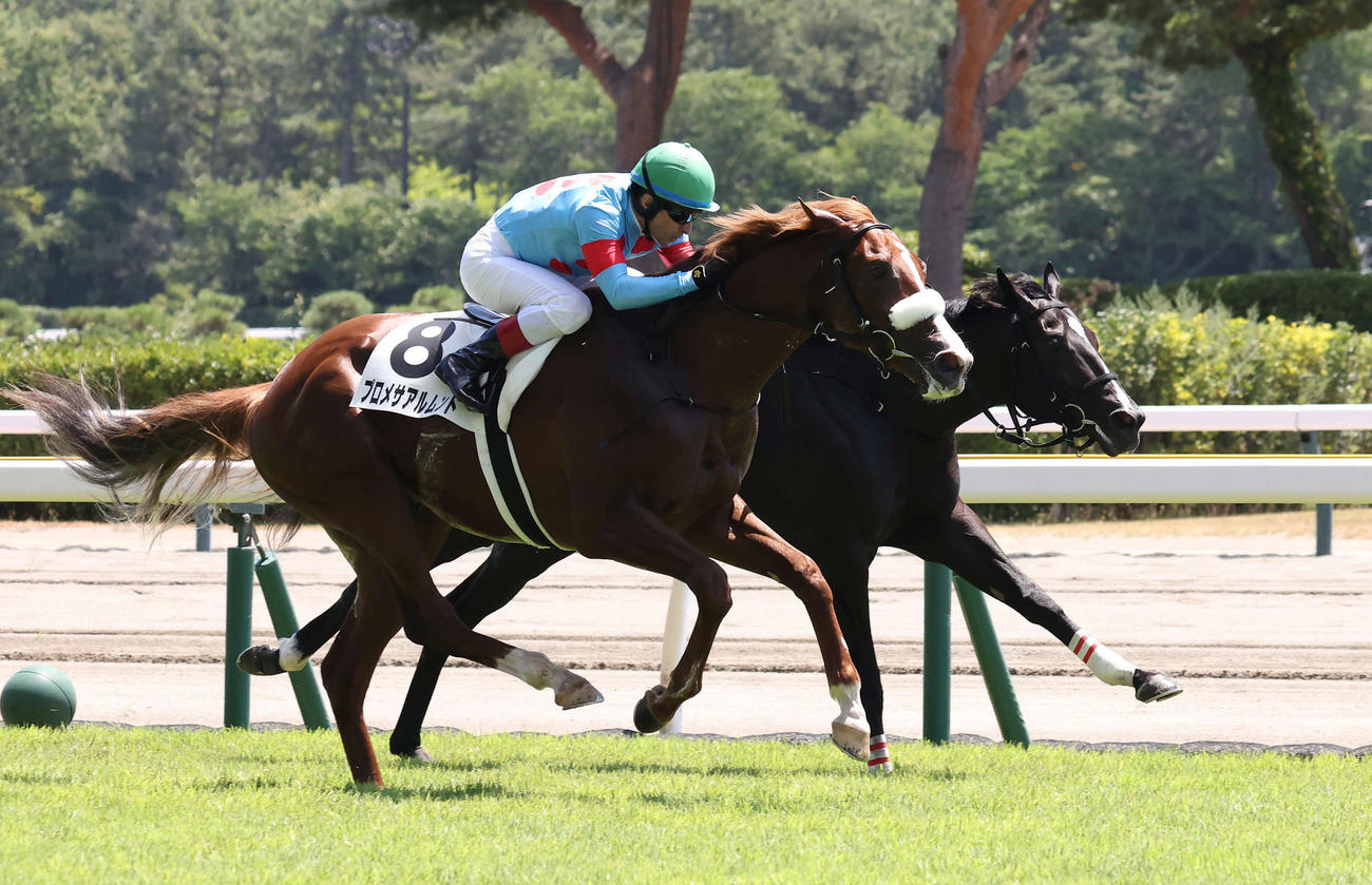 新潟4R、2歳新馬戦を制したプロメサアルムンドとルメール騎手（撮影・丹羽敏通）
