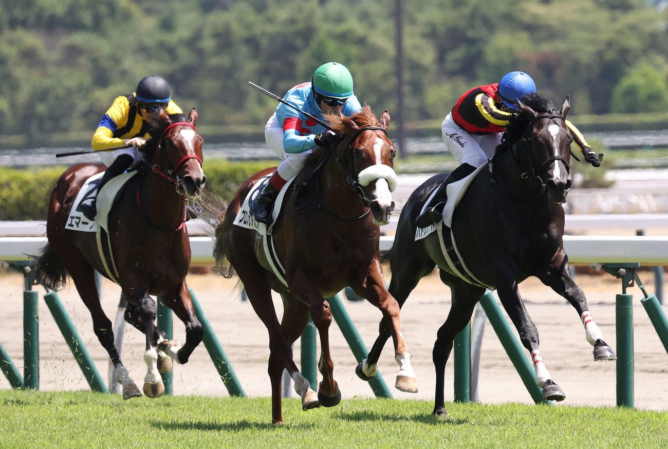 新潟4R、2歳新馬戦を制したプロメサアルムンドとルメール騎手（中央）。右は2着のバドリナート（撮影・丹羽敏通）