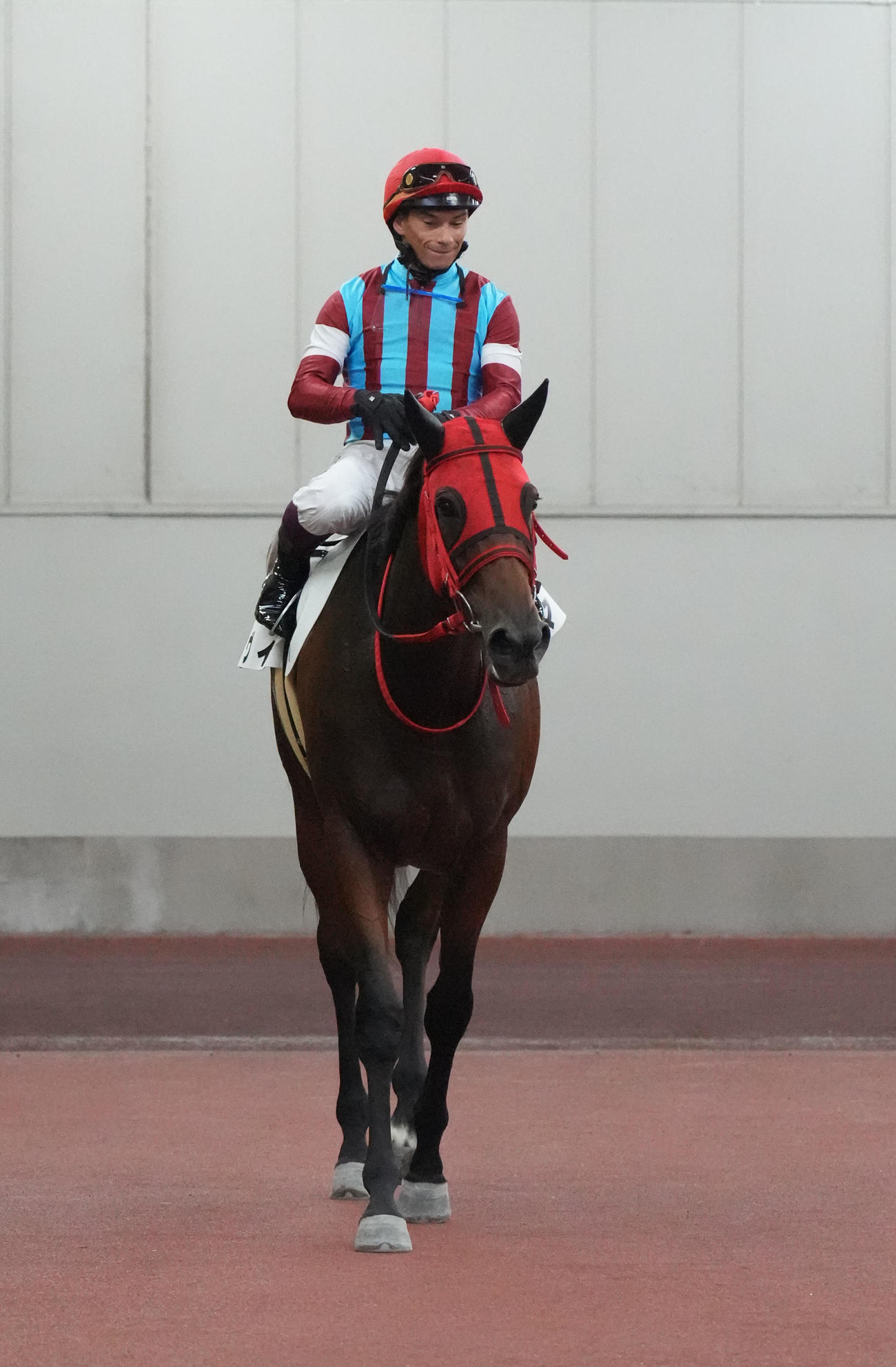 中京2R新馬戦を制したマヴィとバデル騎手