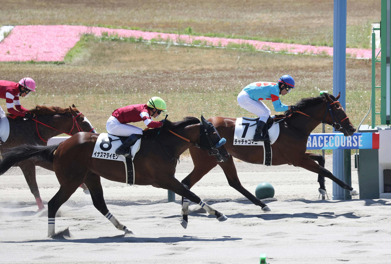 新潟2R、2歳新馬戦を制したチャチャコマニと戸崎騎手（右）（撮影・丹羽敏通）