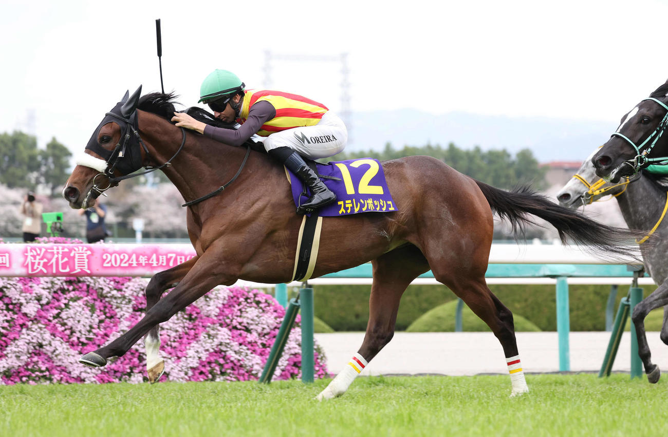 24年4月、桜花賞を制したステレンボッシュ