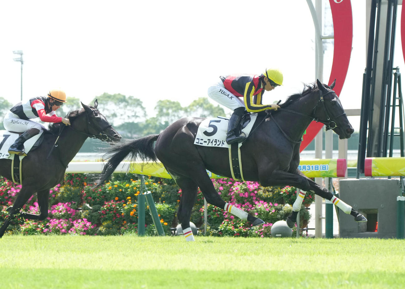 2日中京2Rの新馬戦を制したコニーアイランド