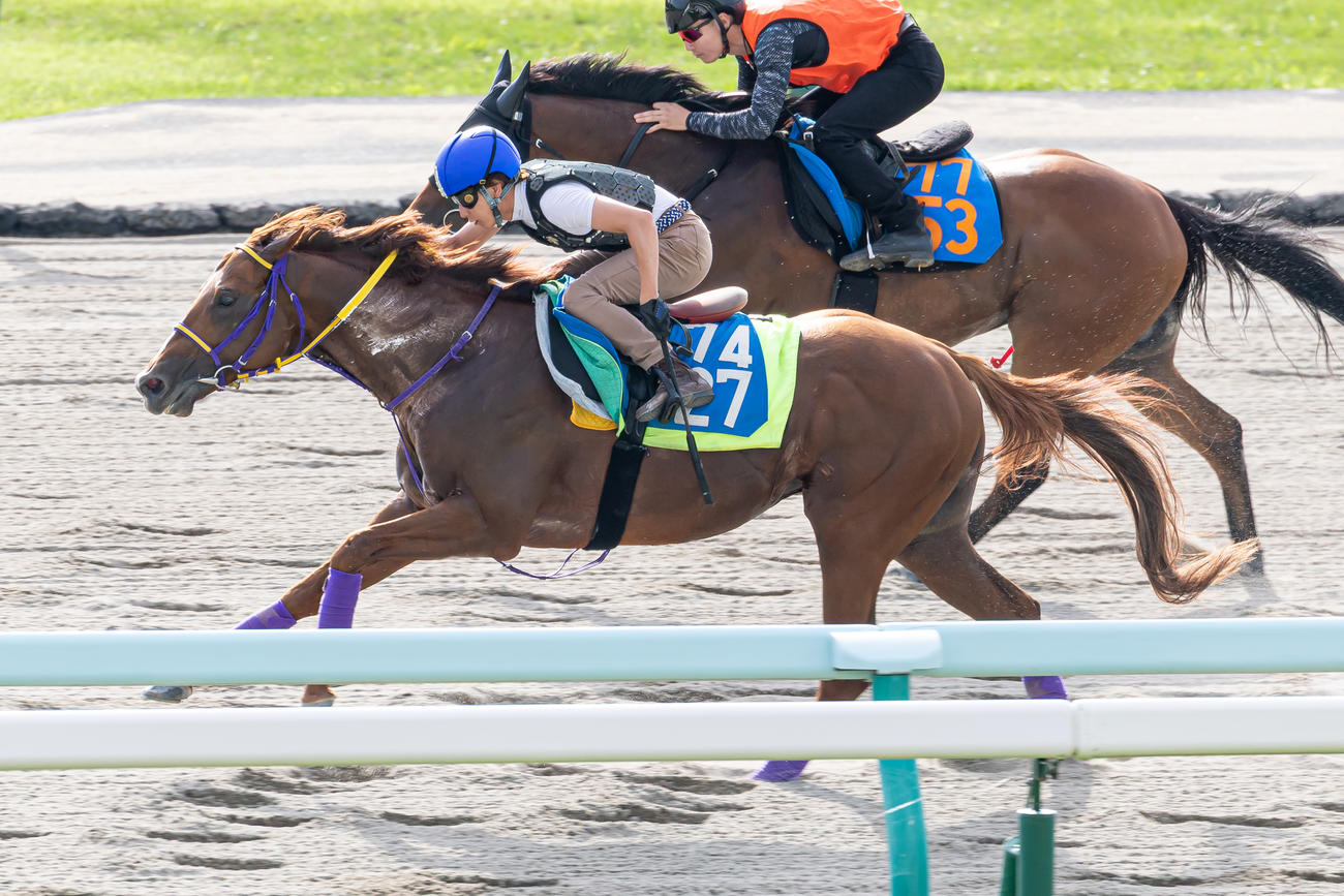 丸山騎手を背に札幌ダートコースで追い切られるテーオードレフォン（撮影・村野早祐）