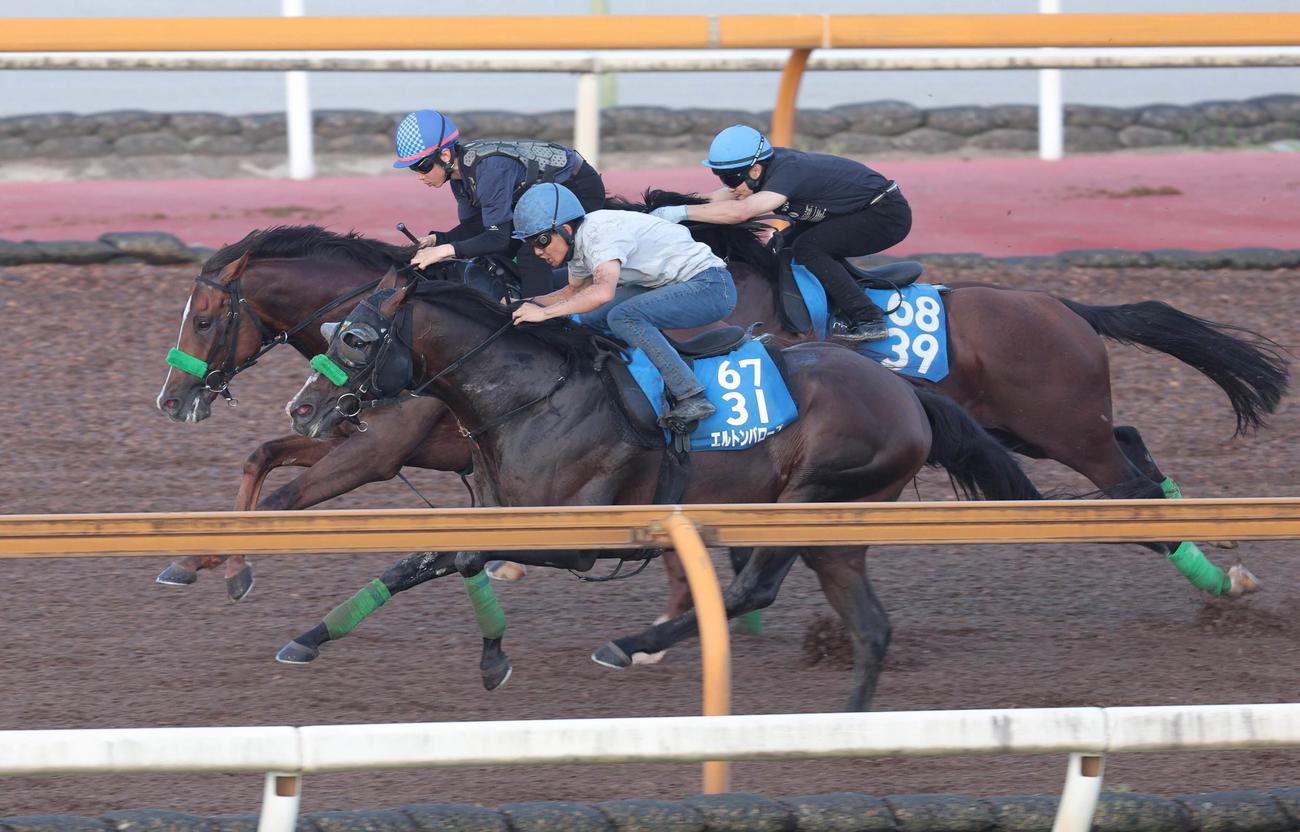 エルトンバローズ（手前）はウッドコースで3頭併せで追い切る