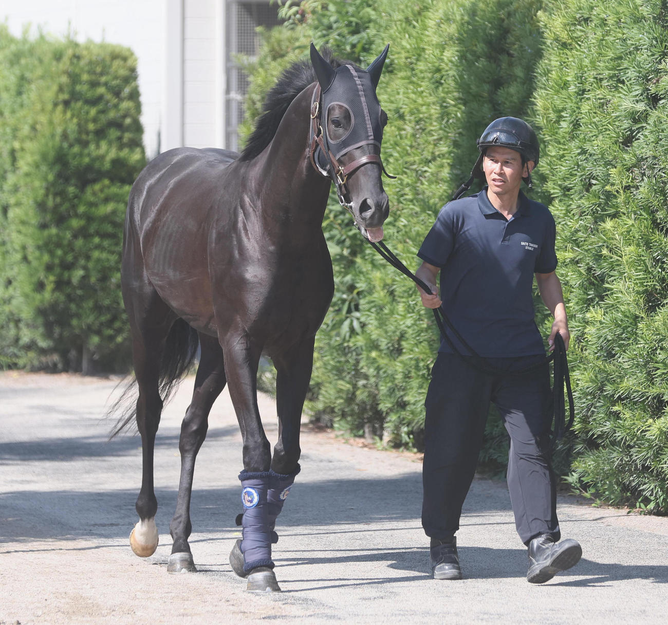 放牧から帰厩したクロワデュノール