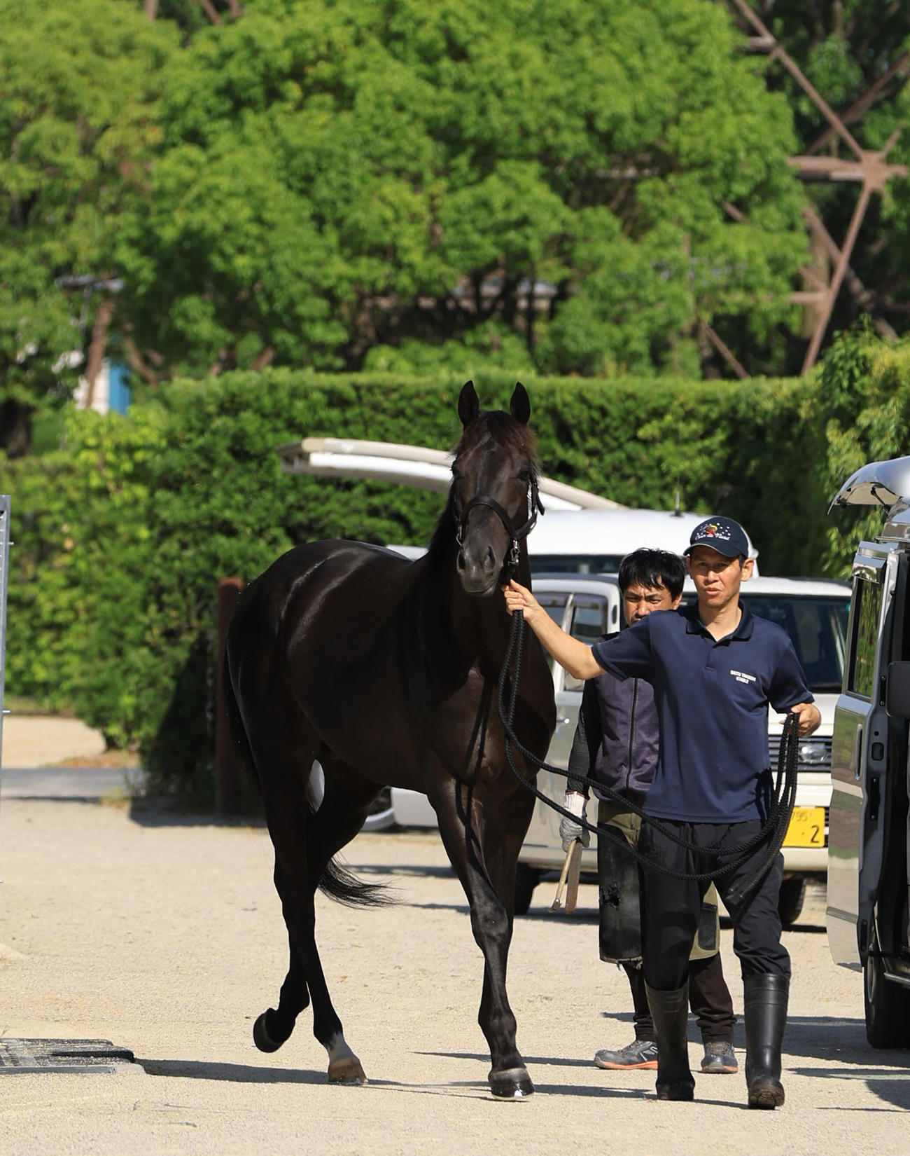 帰厩したクロワデュノール