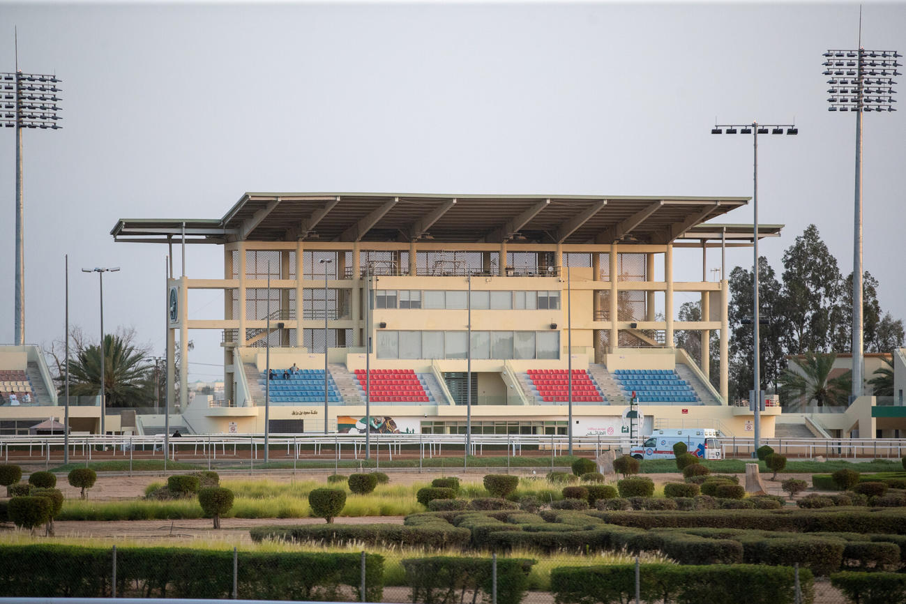サウジアラビアのターイフ競馬場（C）Jockey Club of Saudi Arabia