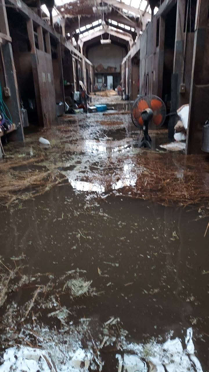 記録的豪雨の影響で雨水が浸水する金沢競馬場の厩舎内（佐藤茂師提供）