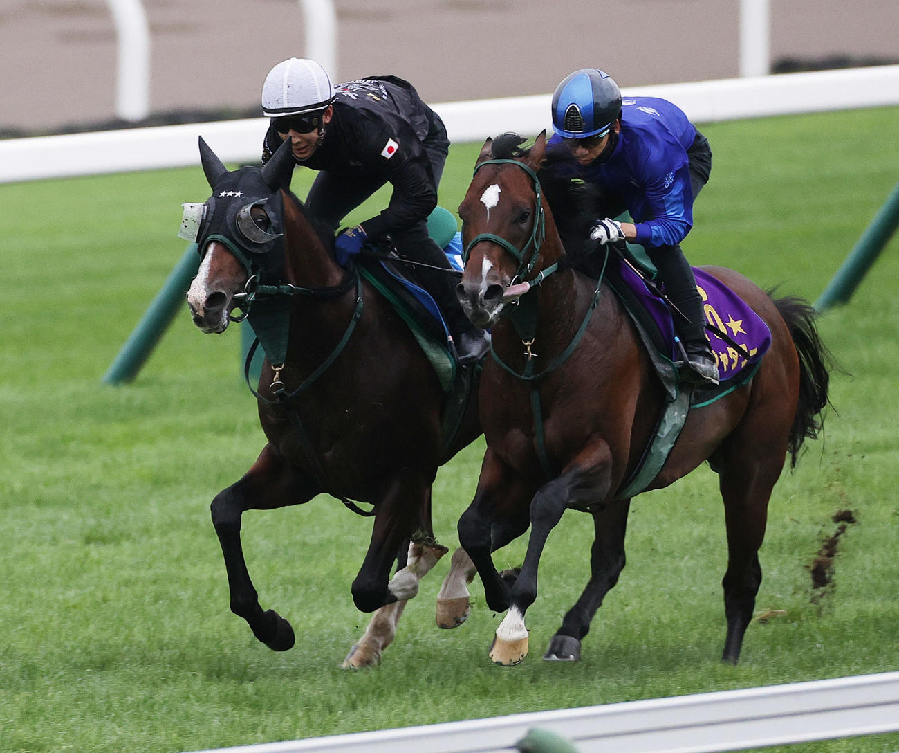 藤岡佑介騎手を背に、函館芝コースで併せ馬で追い切られるアルナシーム。右はパンジャタワー
