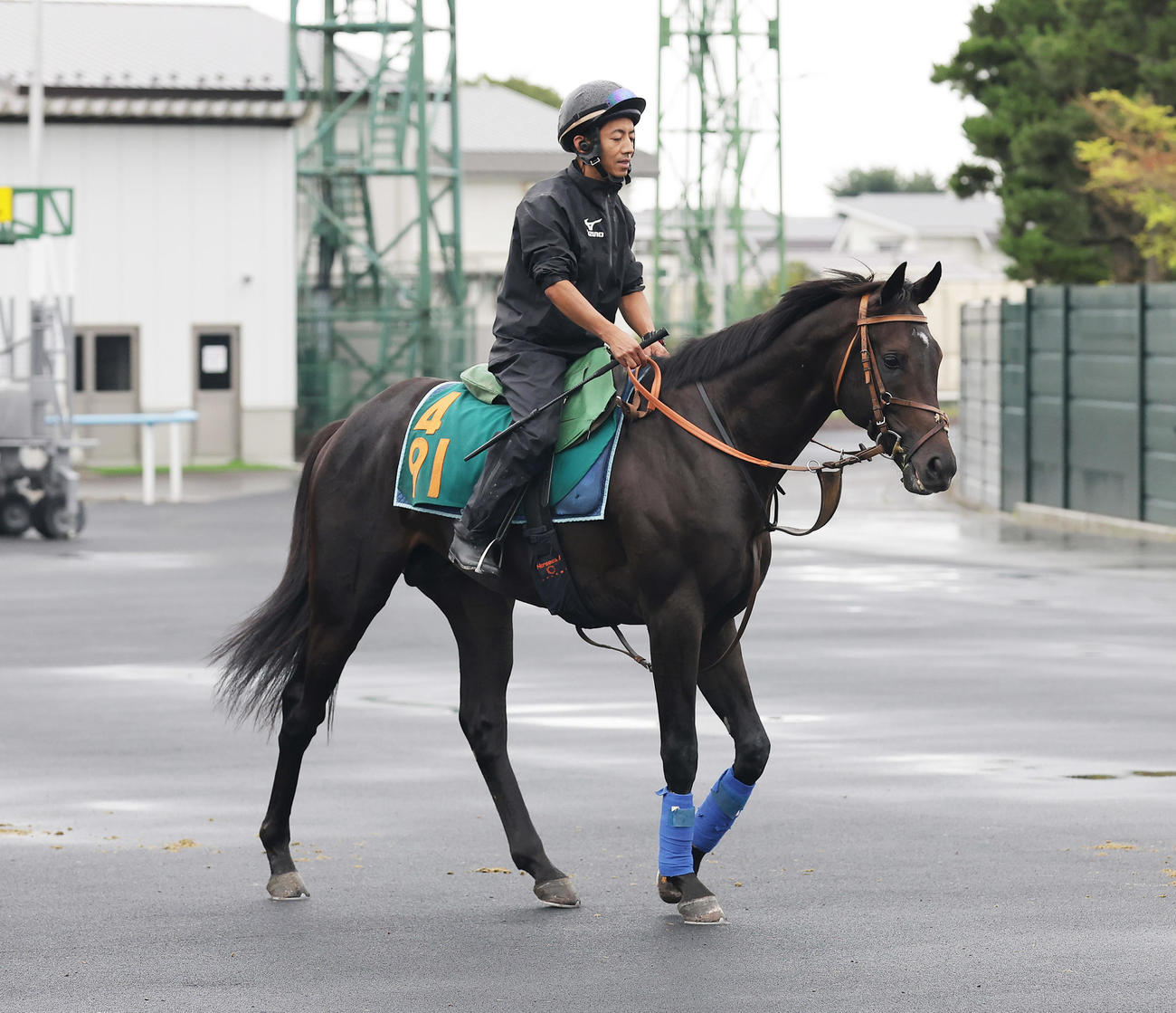 函館競馬場で調整するヒシアムルーズ