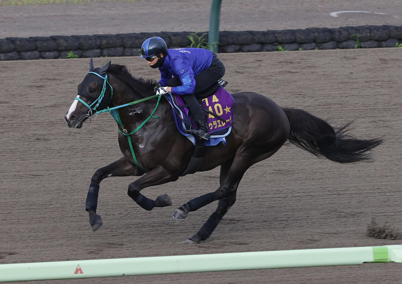 6日、松山弘平騎手を背に、函館ダートコースで追い切られるドゥラエレーデ