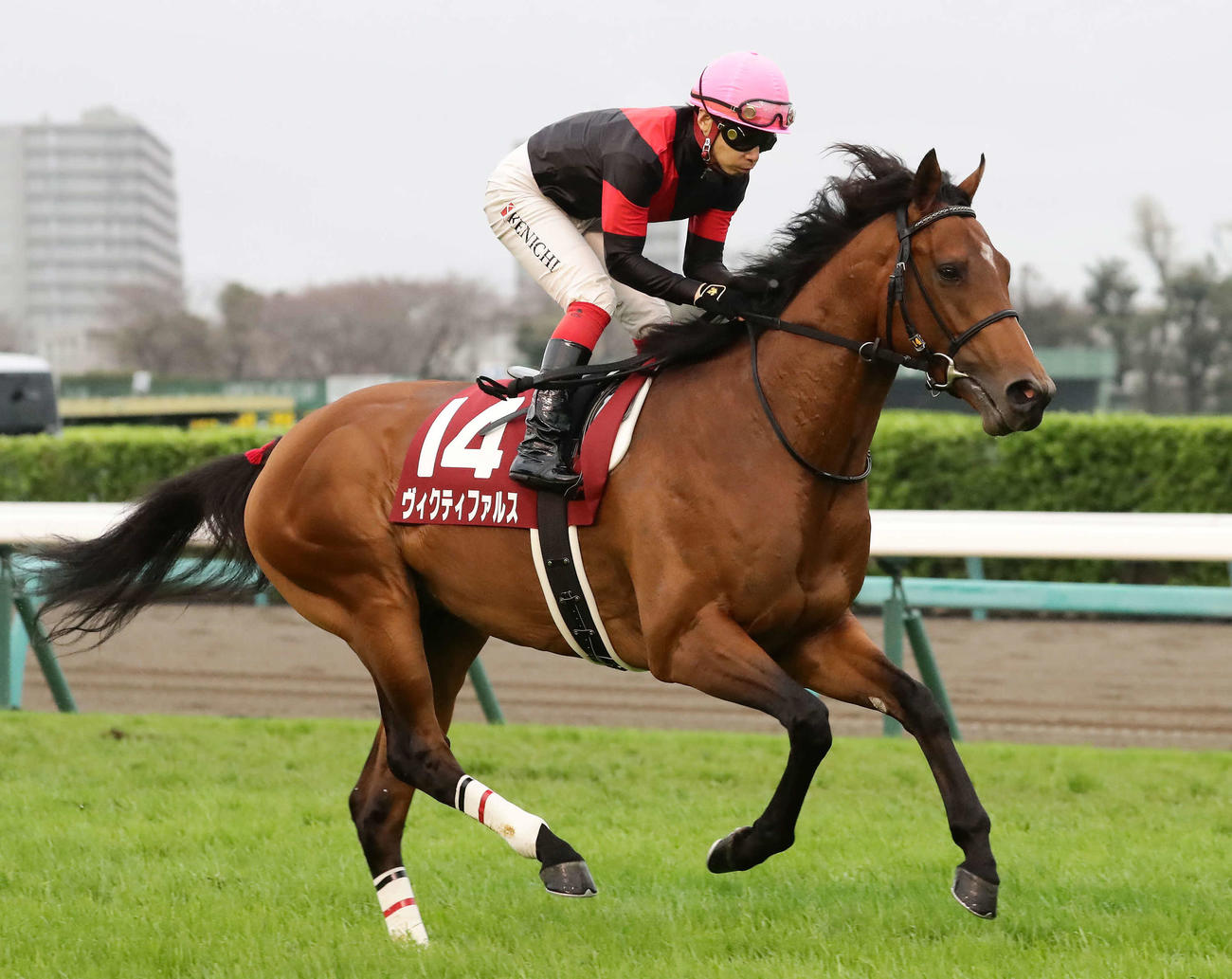 ヴィクティファルス（2021年3月撮影）