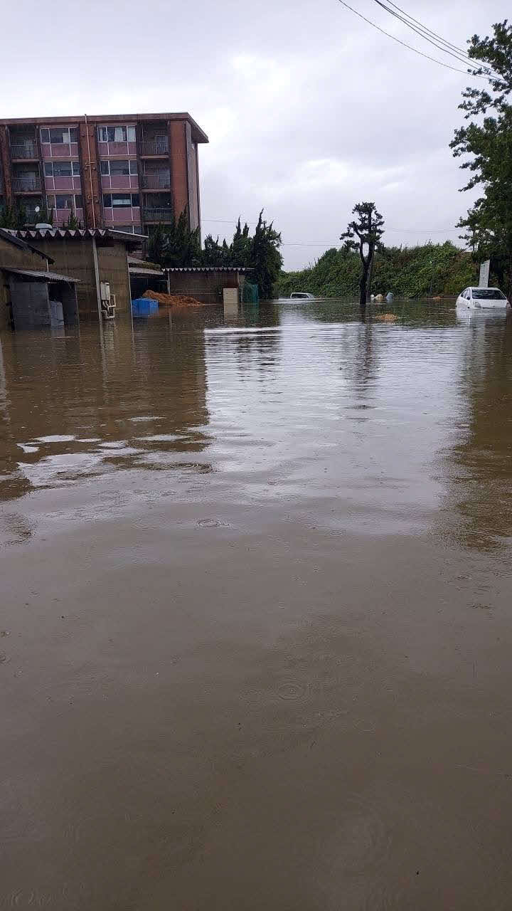 記録的豪雨の影響で雨水が浸水する金沢競馬場の厩舎地区（佐藤茂師提供）