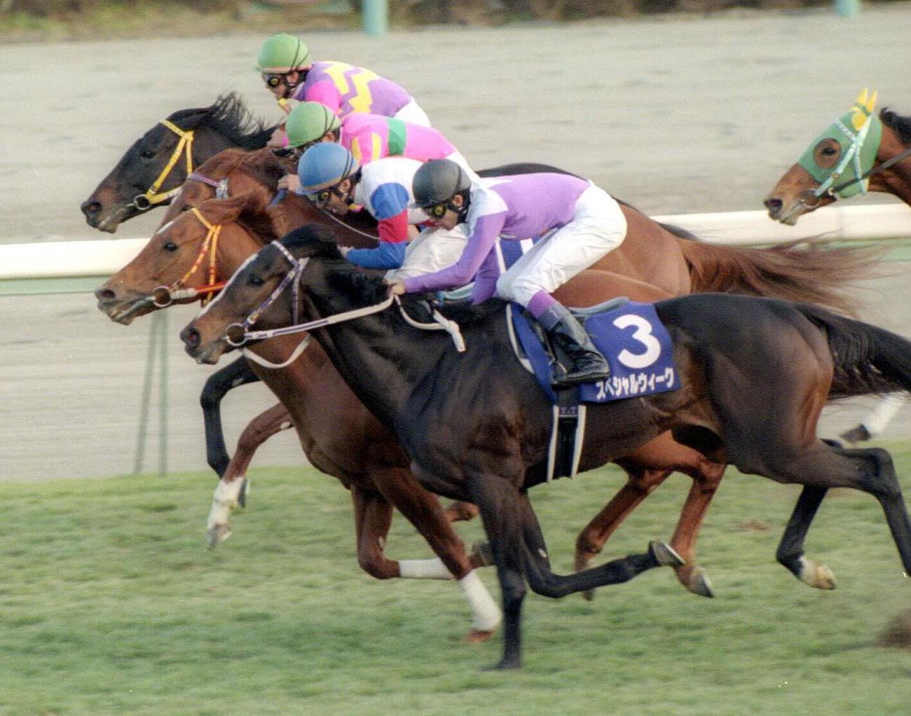 99年有馬記念、4cm差でスペシャルウィーク（手前）を破ったグラスワンダー（手前から2頭目）