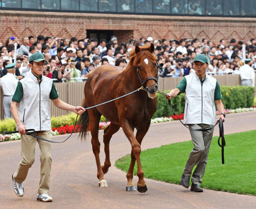 悼む】グラスワンダーの復活願うステッキ7発 忘れられない98年有馬