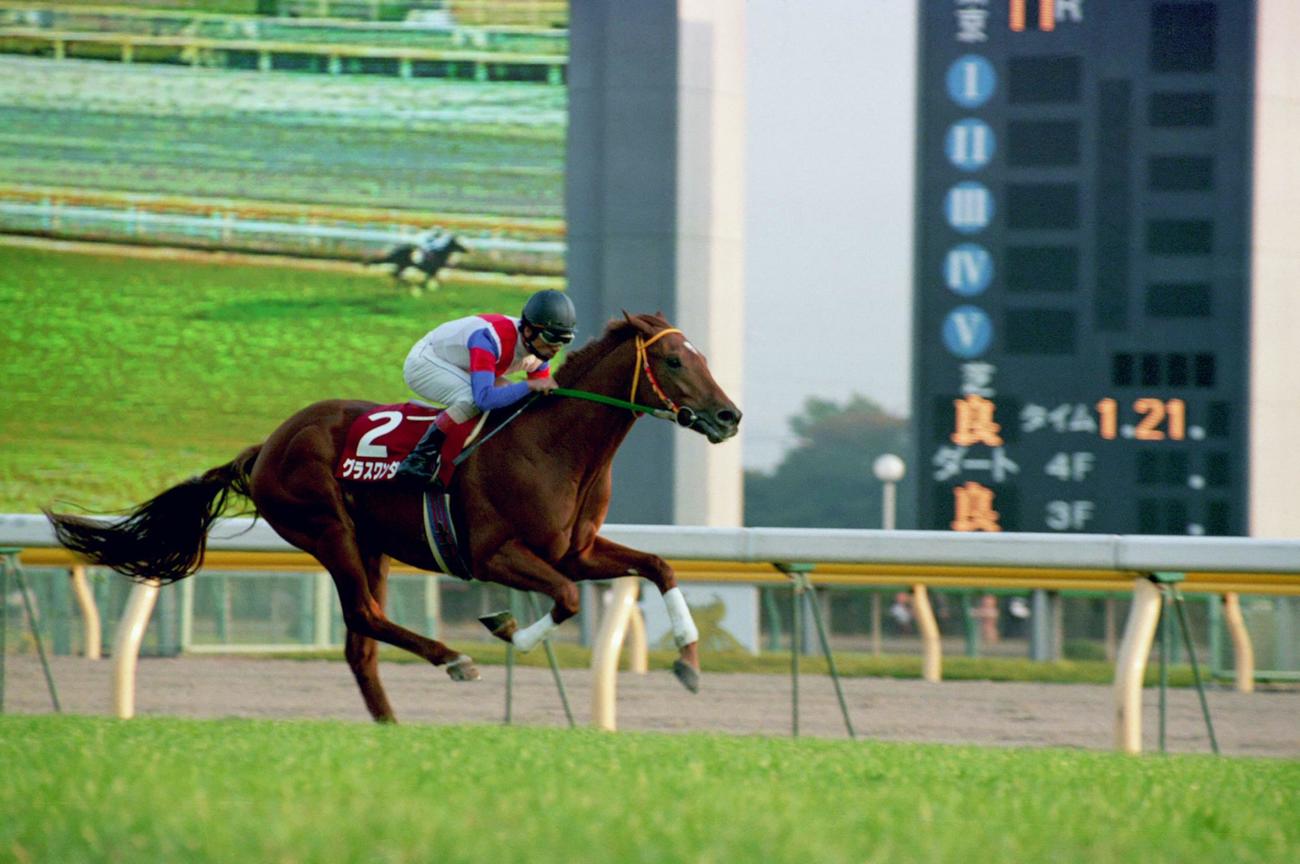 97年京成杯3歳Sを6馬身差で圧勝したグラスワンダー