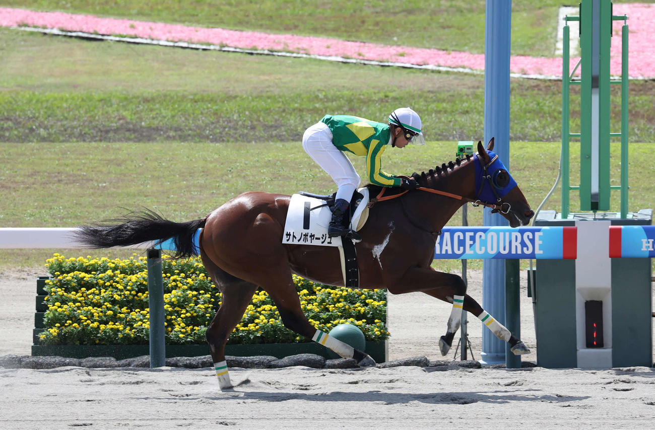 新潟1R、2歳未勝利戦を制したサトノボヤージュと戸崎騎手（撮影・丹羽敏通）