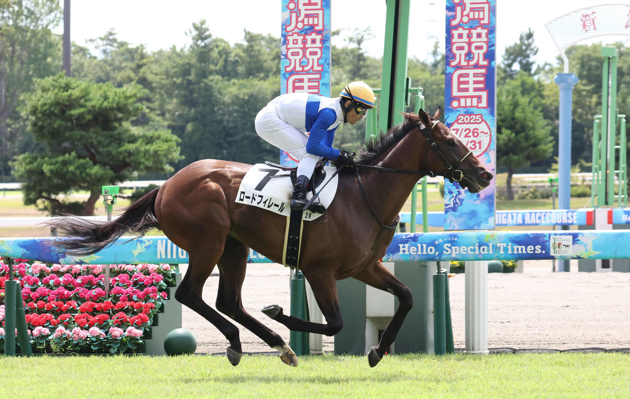 新潟2R、2歳未勝利戦を制したロードフィレールと戸崎騎手（撮影・丹羽敏通）