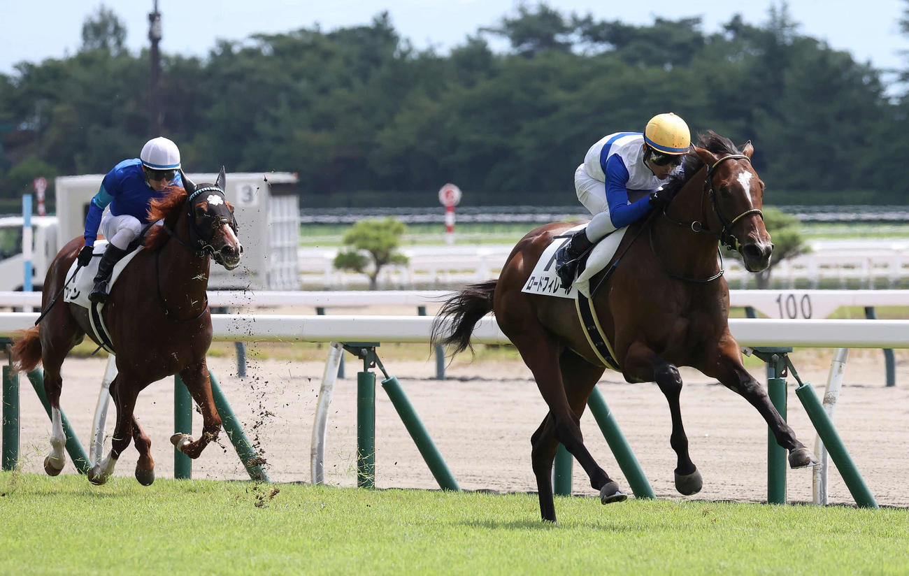 新潟2R、2歳未勝利戦を制したロードフィレールと戸崎騎手（撮影・丹羽敏通）