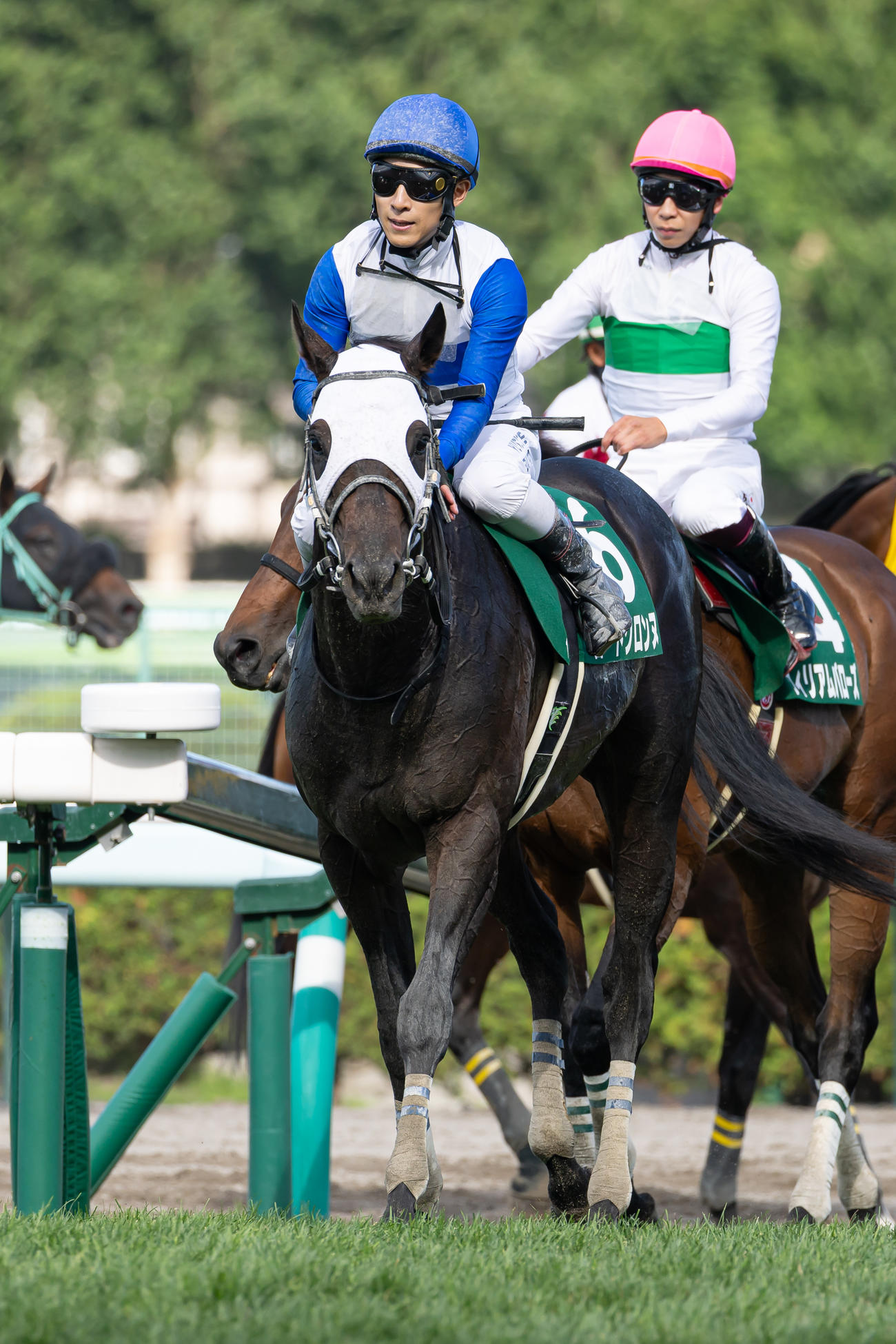 エルムS2着のロードクロンヌと藤岡騎手（撮影・村野早祐）