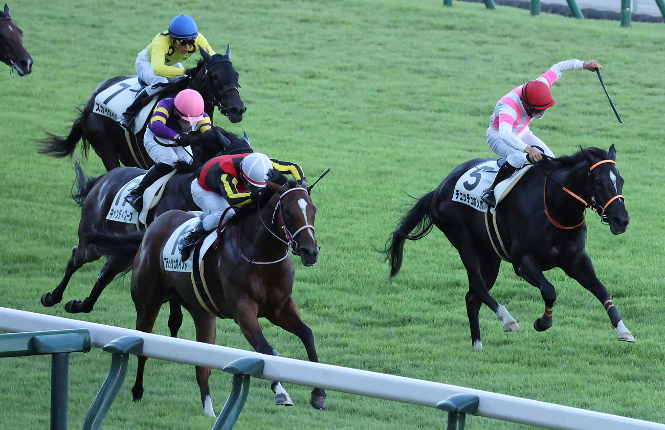 新潟11R、3歳未勝利戦を制したフラッシュポイントと戸崎騎手（左）。右は3着チュッチュポッポ（撮影・丹羽敏通）