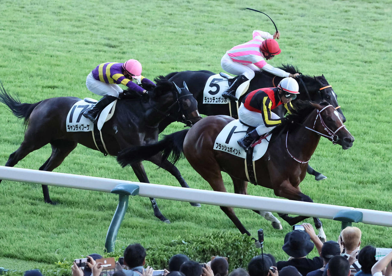新潟11R、3歳未勝利戦を制したフラッシュポイントと戸崎騎手（手前）。奥へ2着キャンディブーケ、3着チュッチュポッポ（撮影・丹羽敏通）