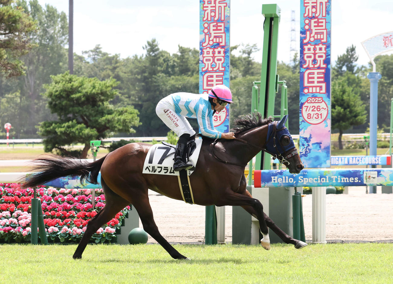 新潟3R、2歳新馬戦を制したベルフラムと田口騎手（撮影・丹羽敏通）