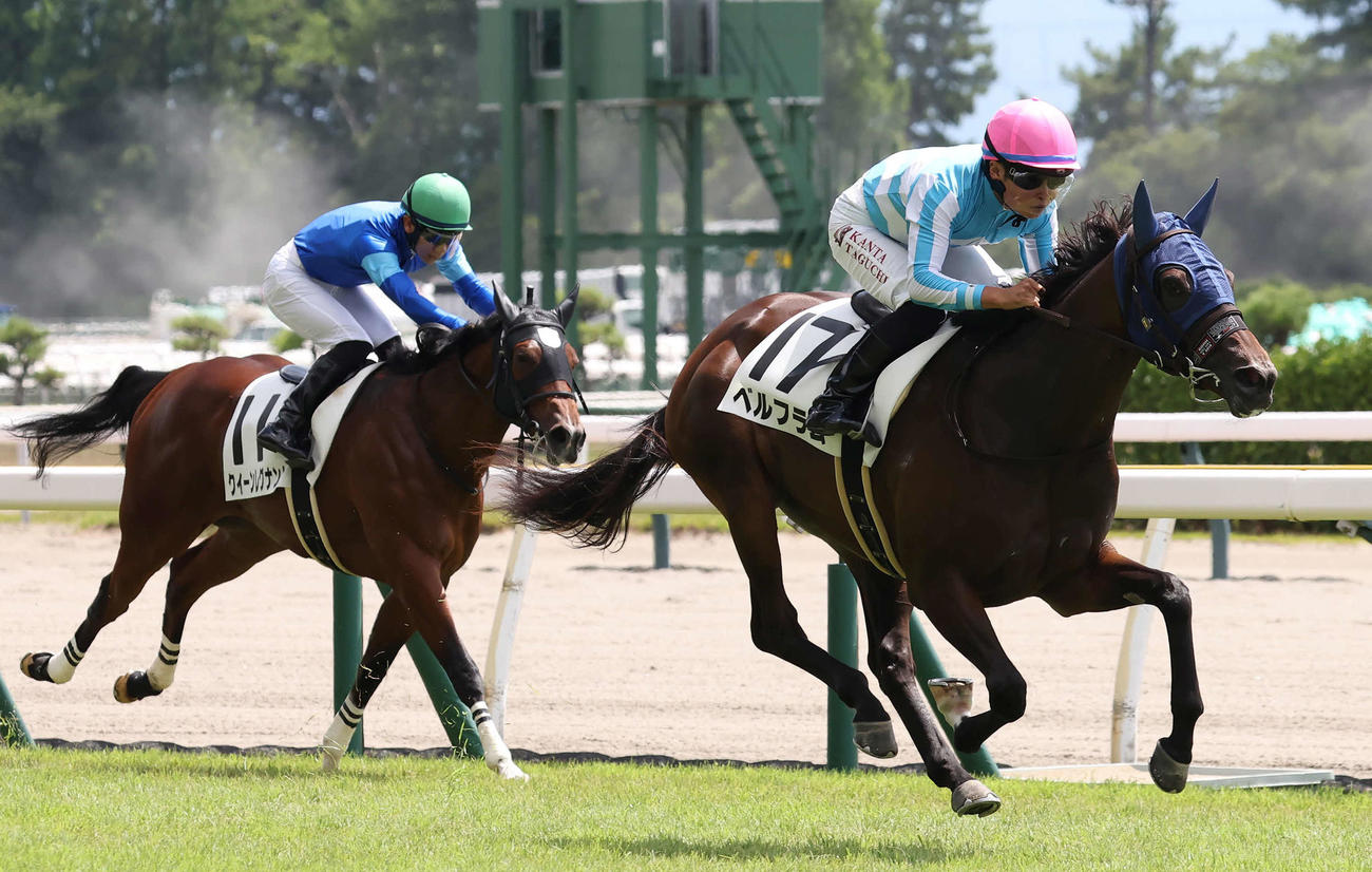 新潟3R、2歳新馬戦を制したベルフラムと田口騎手（撮影・丹羽敏通）