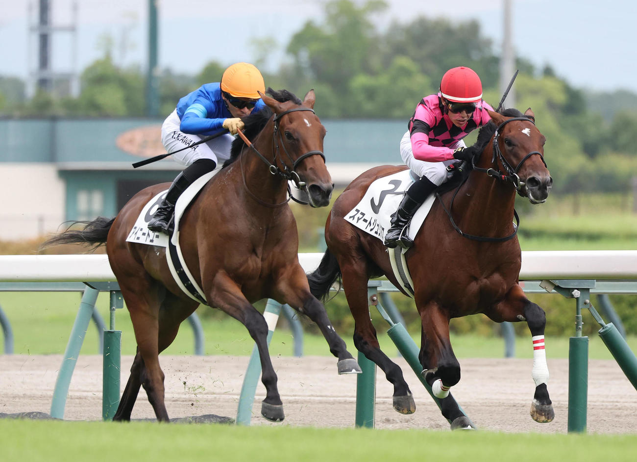 中京4R、直線抜け出して新馬戦を制したアイニードユー（左）（撮影・白石智彦）