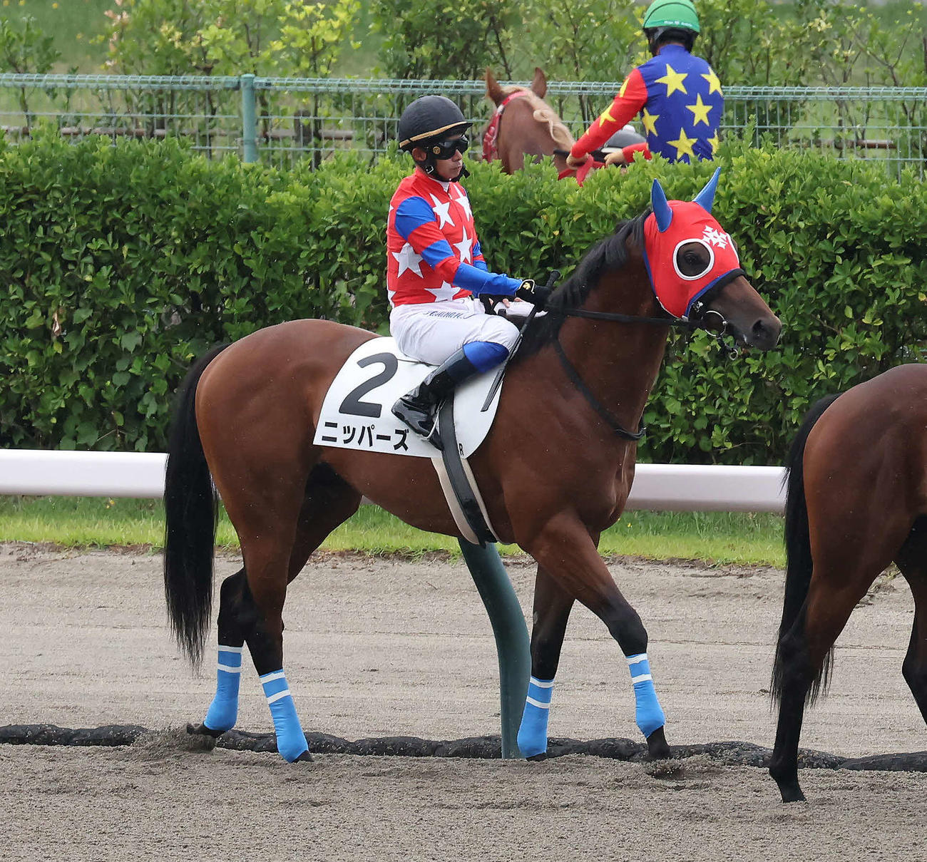 新潟3R、2歳新馬戦に出走したニッパーズと岩田康騎手（撮影・丹羽敏通）