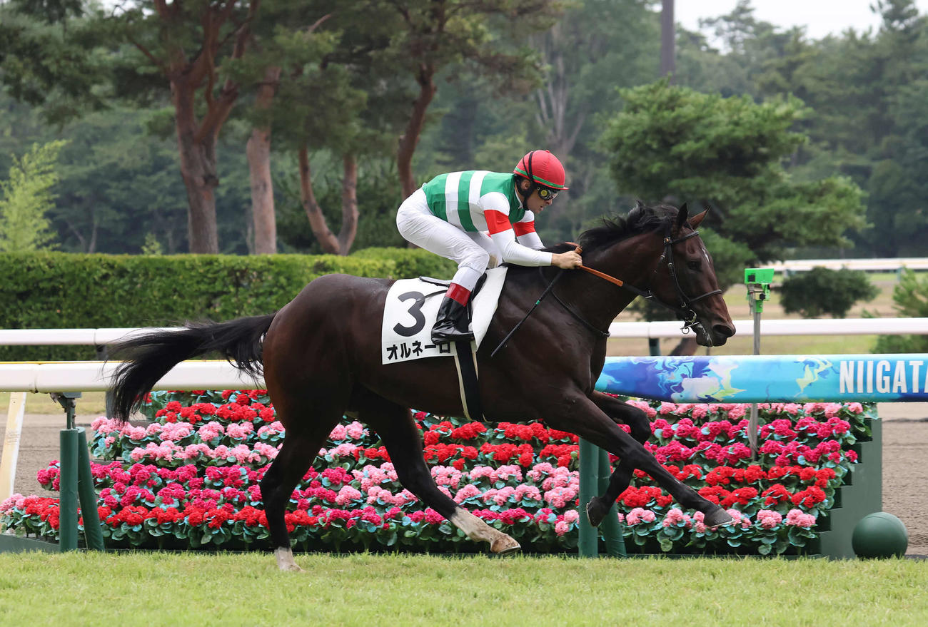 新潟2R、2歳新馬戦を制したオルネーロとルメール騎手（撮影・丹羽敏通）